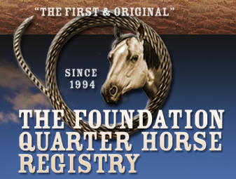 horse foundation quarter ranch registry round florida macho tee jack links stallions